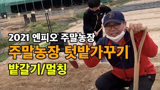 엔피오주말농장 / 텃밭가꾸기 / 밭갈기 / 멀칭