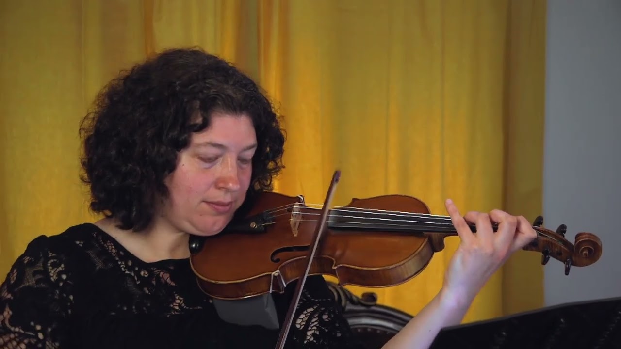 Promotional video thumbnail 3 for Amelia Muccia - Violinist