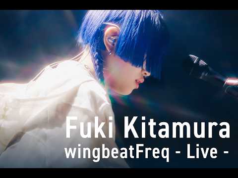 北村蕗 「wingbeatFreq」- Live –