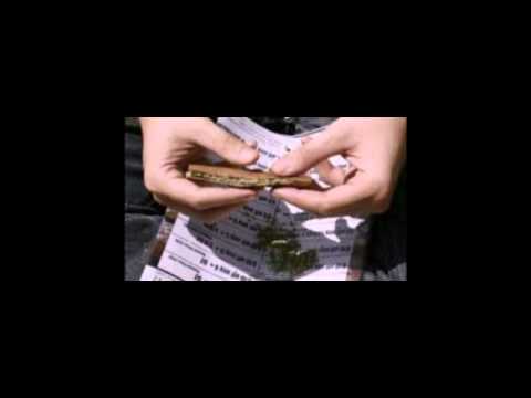 Dzhewo (kD)  -  Smartfoni İfoni (no Mercy)