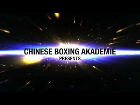 Sifu Nihat Atamtürk - Chinese Boxing Techniques