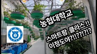 농협대학교 방문 그리고 강의 / 스마트팜 강의 / smartfarm