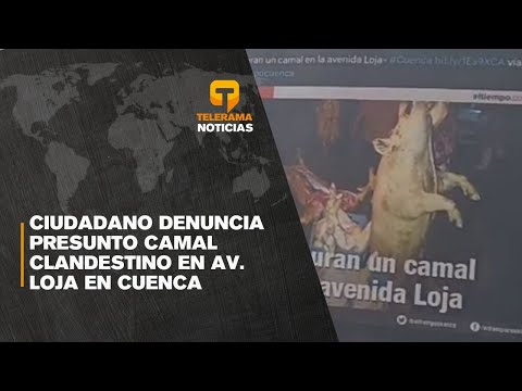 Ciudadano denuncia presunto camal clandestino en av. Loja