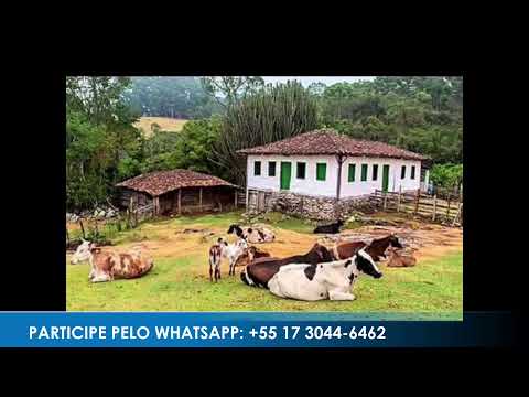 Programa: Caminho da Roça - 02/06/26 - Parte 1 - Apresentação: Paulinho