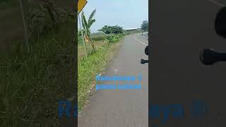 Download lagu Rancabuaya ® pantai selatan ~garut selatan mp3 Download lagu Rancabuaya ® pantai selatan ~garut selatan mp3