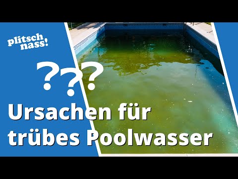 3 Gründe, warum dein Poolwasser trüb oder milchig ist
