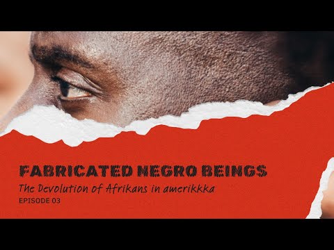 Fabricated Negro Beings: The Devolution of Afrikans in amerikkka