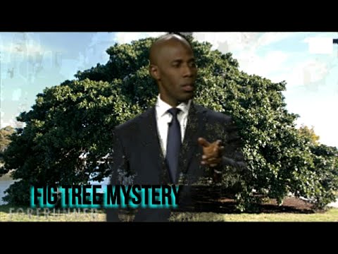 Christopher Hudson Fig Tree Mystery