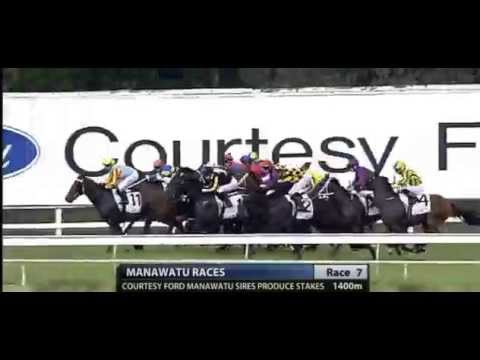 2015 - Group 1 Manawatu Sires' Produce Stakes - Marky Mark