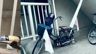 俺のマジ卍チャリ  俺の名字&彼女の名字を風防に入れて見た⁉︎