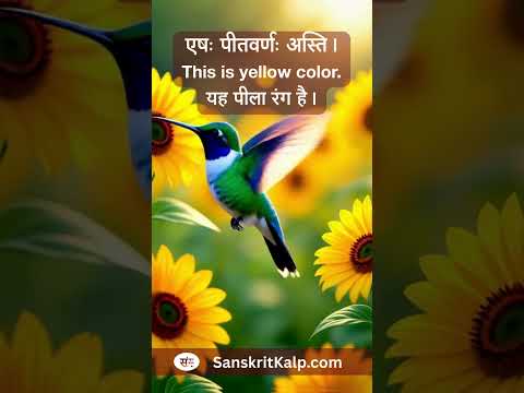Learn Sanskrit Sentence:  सः परीक्षायाम् अनुत्तीर्णः अभवत्। | He failed the exam.