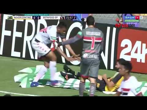MELHORES MOMENTOS: Novorizontino 1x0 Botafogo - 31/01/2019 - Camp. Paulista