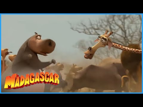 DreamWorks Madagascar | Get The Water Back | Madagascar: Escape 2 Africa Movie Clip