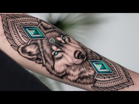LOUP RÉALISTE AVEC TATOUAGE AUX YEUX BLEU TIME LAPSE