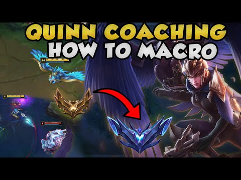 QUINN COACHING And Teaching YOU How To MACRO Effectively As Quinn Top
