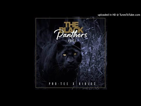 1.Pro-Tee X Biblos & Zimbali-Ngizwile