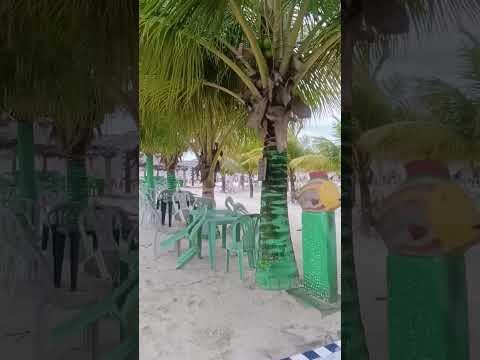 Praia de Acaú, Pitimbu (PB) | O som das ondas e a beleza do litoral paraibano 🌊