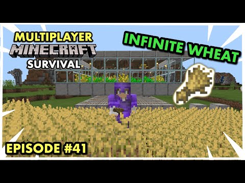 JC Playz - MAKING AN AUTOMATIC WHEAT FARM in Multiplayer Minecraft Survival (Ep. 41)