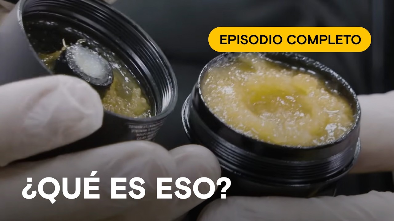 Amortiguadores con un contenido sorprendente 🛑 ¡ALTO! FRONTERA CHILE 🚧 Episodio completo #12