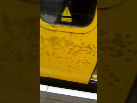 vandalism on the 4057 to Newcastle