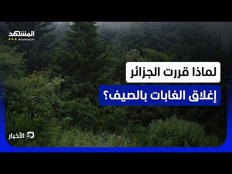 إغلاق الغابات في الجزائر هذا الصيف وعقوبات للمخالفين