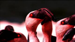 Deftones - Gore - Geometric Headdress