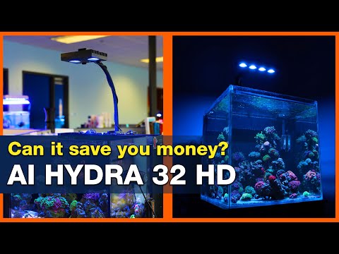 Hydra 32HD versus Hydra 64HD? Will multiple Hydra 32's perform as well AND save you money?