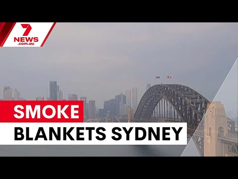Sydney blanketed by hazardous bushfire smoke | 7NEWS