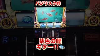 バジリスク絆　#家スロ  #song  #shorts  #youtube  #パチスロ  #パチンコ  #ゲーム実況  #スマスロ  #スマスロ  #new  #comedy  #love 