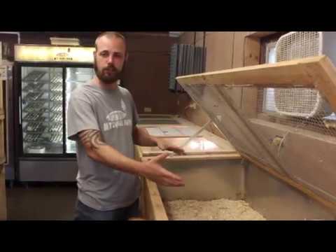 quail brooder system at myshire farm