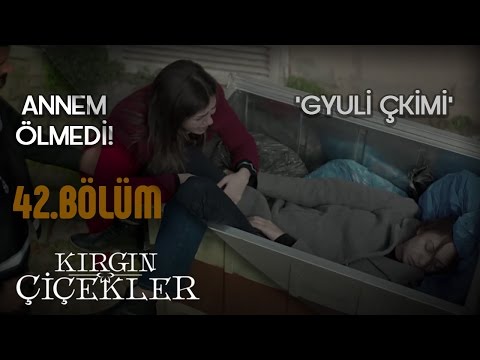 Anne ölmedin sen… - Gyuli Çkimi - Kırgın Çiçekler 42.Bölüm Klip