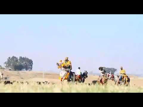 obsineet Guutaa #Geerar Naan Jedhu#