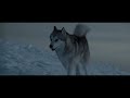 Eight Below 2006 Old Jack S And Dewey S Death Sad