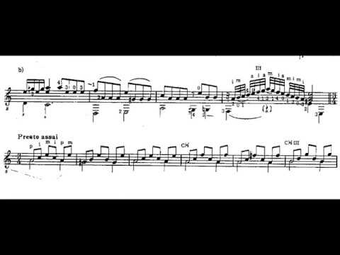 David Kellner - Phantasia in Am for Guitar (Score video)