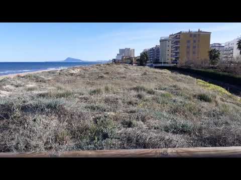 Guardamar Playa.  de la Safor.Valencia
