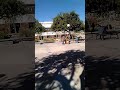 Joy Cosper 10 5 17 Thurs CHAFFEY QUAD