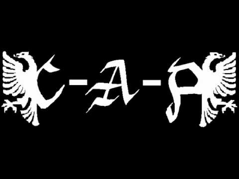 C-A-P - Atme Durch 2010 (Stellungnahme)