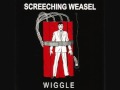 Screeching Weasel - Crying In My Beer