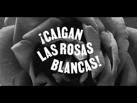 Crítica de "¡Caigan las rosas blancas!": Albertina Carri regresa con una road movie única