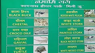 preview picture of video 'Sarnath Deer Park Mini Zoo | Sarnath Zoo Varanasi | Sarnath Tourism, Travel Guide & Tourist Places'