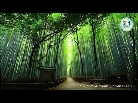 Erev Shel Shoshanim | Hoà Tấu Sáo Trúc | Bản Nhạc Mang Âm Hưởng Phật Giáo