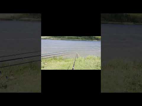 o amintire de pe lacul Aroneanu Iași 🎣🎣🎣