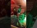 Bijnor Dance