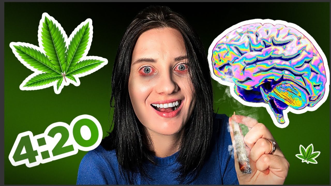 O QUE A MACONHA FAZ NO SEU CÉREBRO? | Psicóloga Explica