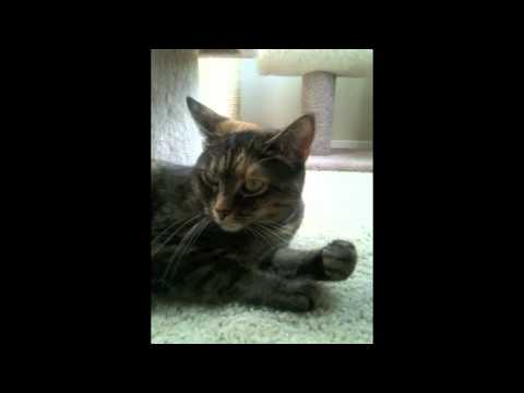 Luann Rocks the Wheel