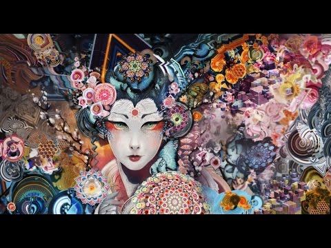 Chaos Control - Ganja Geisha [Visualization]