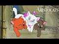 What Were The Names Of The Three Kittens In The Aristocats Disney FAQ