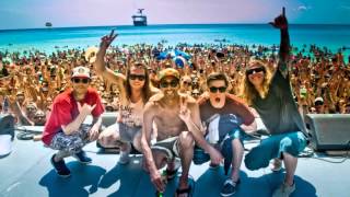 Dirty Heads - Everything I'm Looking For