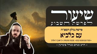הרב מנחם מנדל פומרנץ | שיעור פרשת בלק והילולת אור החיים • עם כלביא •