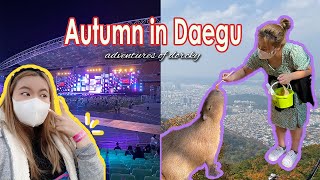 Adventures of Dorcky: Spending Autumn in Daegu + First Inkigayo KPOP Concert after Covid-19 가을 대구 여행